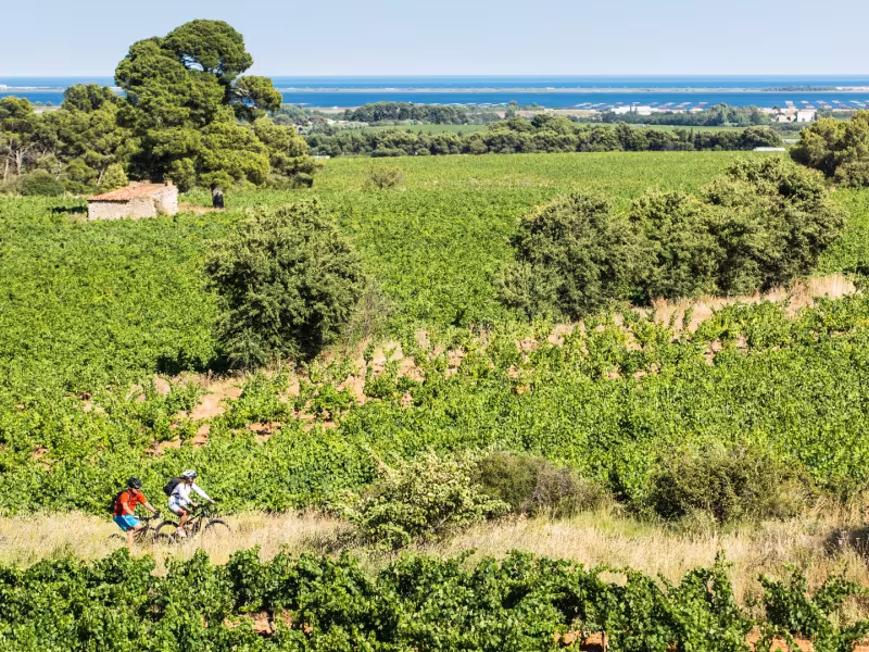 VTT sur les chemins près de l'étang de Thau