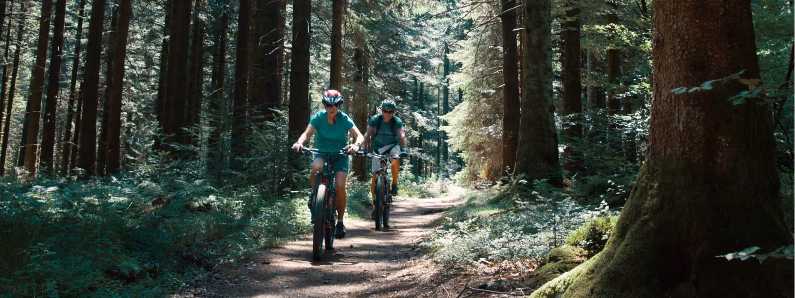 Sur la GTMC VTT dans les forêts du Morvan vers le Haut Folin
