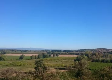 Camping Les Amandiers 3* à Castelnau de Guers - Fond-du-camping