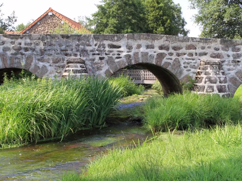 Pont sur le Ternin - Alligny
