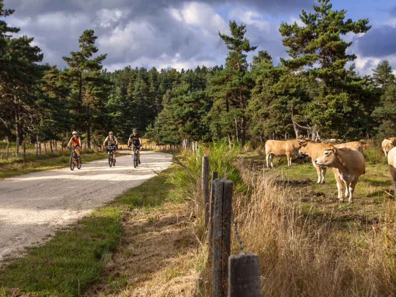 Parcours VTT d ela GTMC au domaine du Sauvage