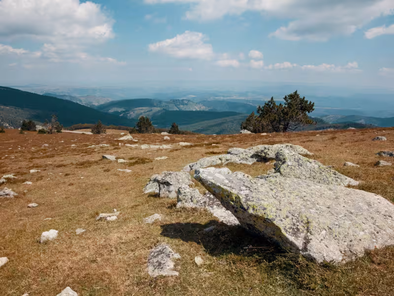 Paysage au sommet du Mont Aigoual