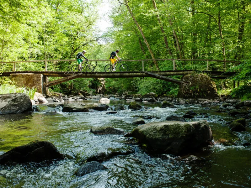 VTTistes au dessus de la vallée du Cousin dans le Morvan