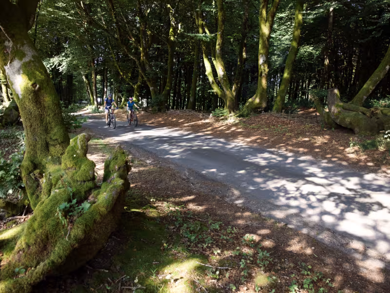 Randonnée à VTT sur la GTMC au mont Beuvray