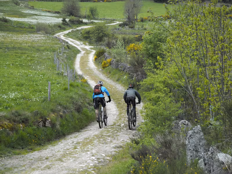 VTT sur piste vers Margeride