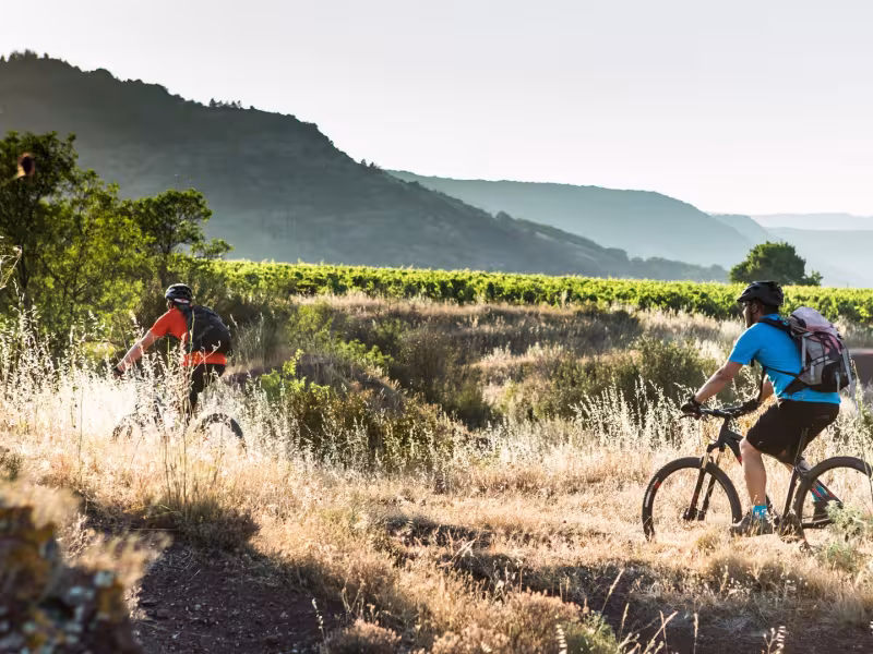 VTT dans le vignobles vers Liausson