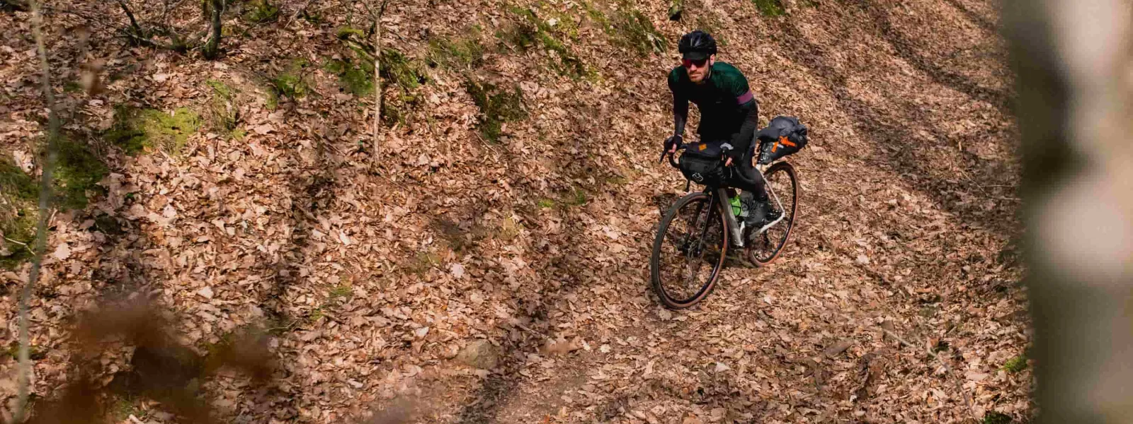 gravel en forêt à l'automne