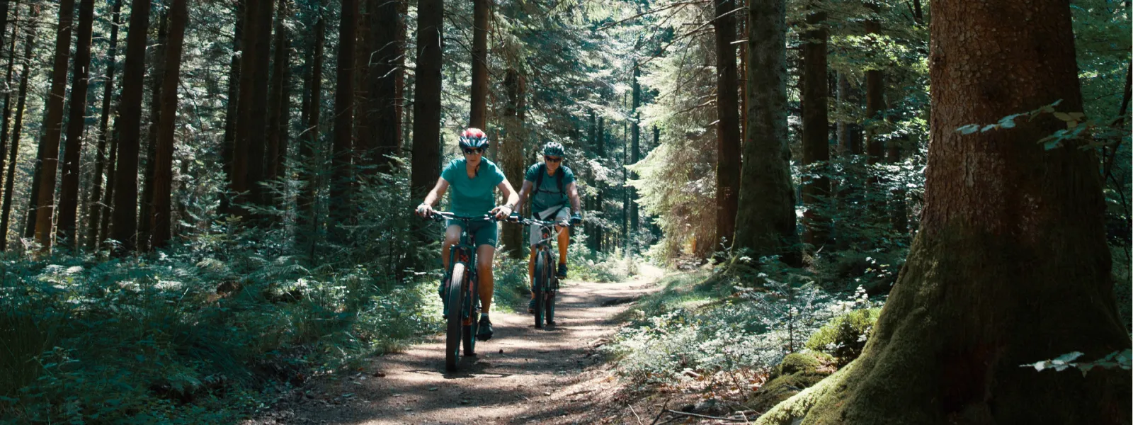Sur la GTMC VTT dans les forêts du Morvan vers le Haut Folin