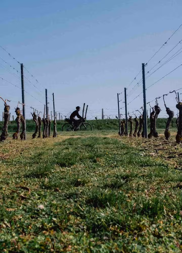 gravel sur la gtmc dans les vignes