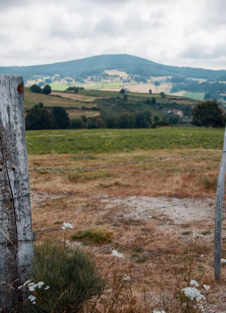 Balisage de la GTMC dans les cévennes