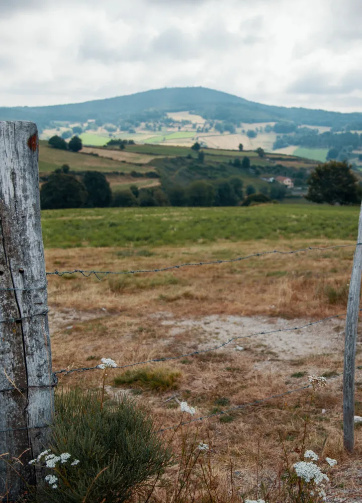 Balisage de la GTMC dans les cévennes