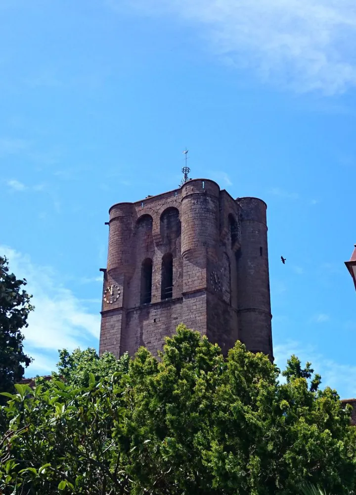 Cathédrale Saint-Etienne à Agde