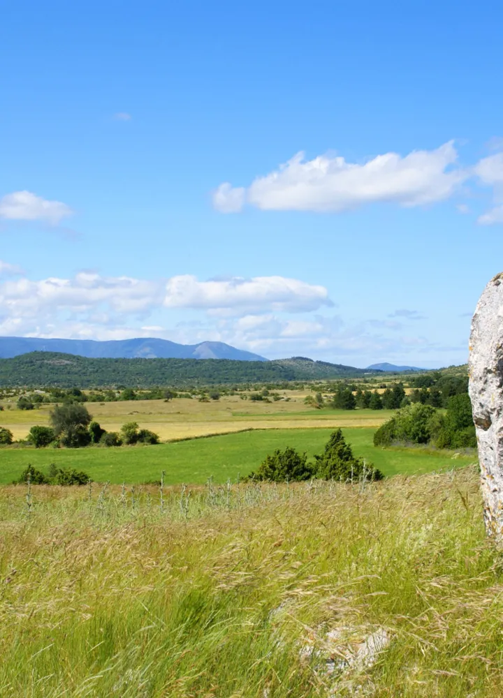 Le menhir de la Trivalle sur le causse de Blandas