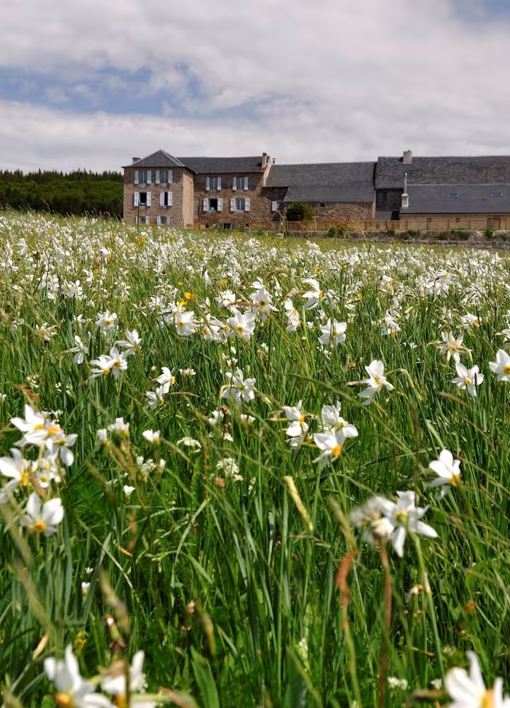 Printemps au domaine du Sauvage