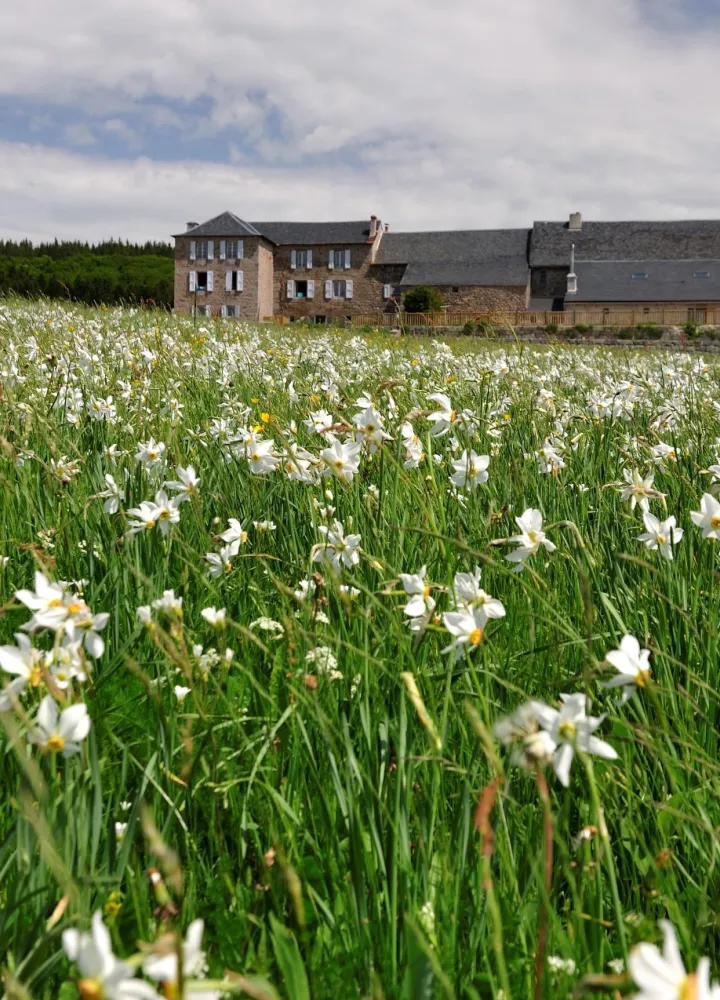 Printemps au domaine du Sauvage
