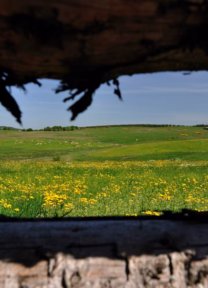 Domaine du Sauvage entre le Puy-en-Velay et l'Aubrac