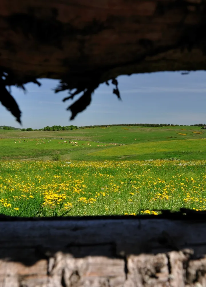 Domaine du Sauvage entre le Puy-en-Velay et l'Aubrac