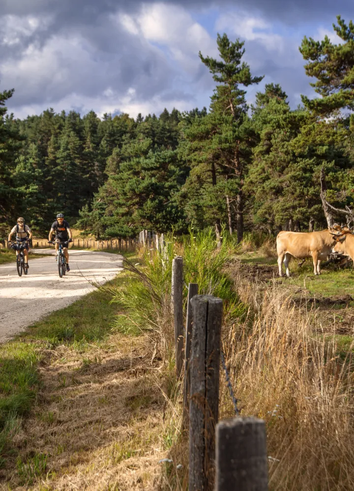 Arrivée à VTT au domaine du Sauvage en Gévaudan