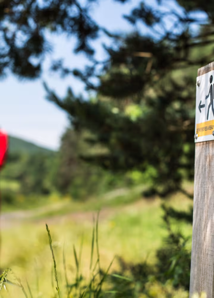 Balisage de la GTMC à VTT