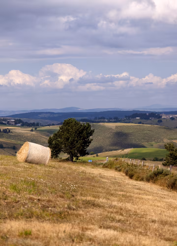 Margeride à VTT
