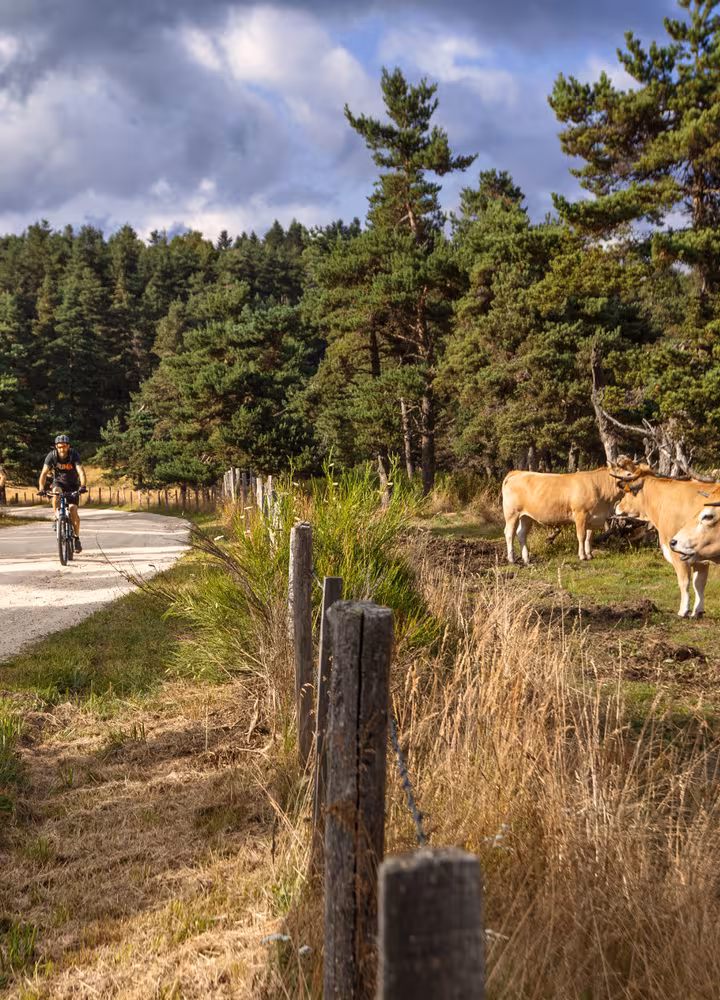 Le domaine du Sauvage en Margeride