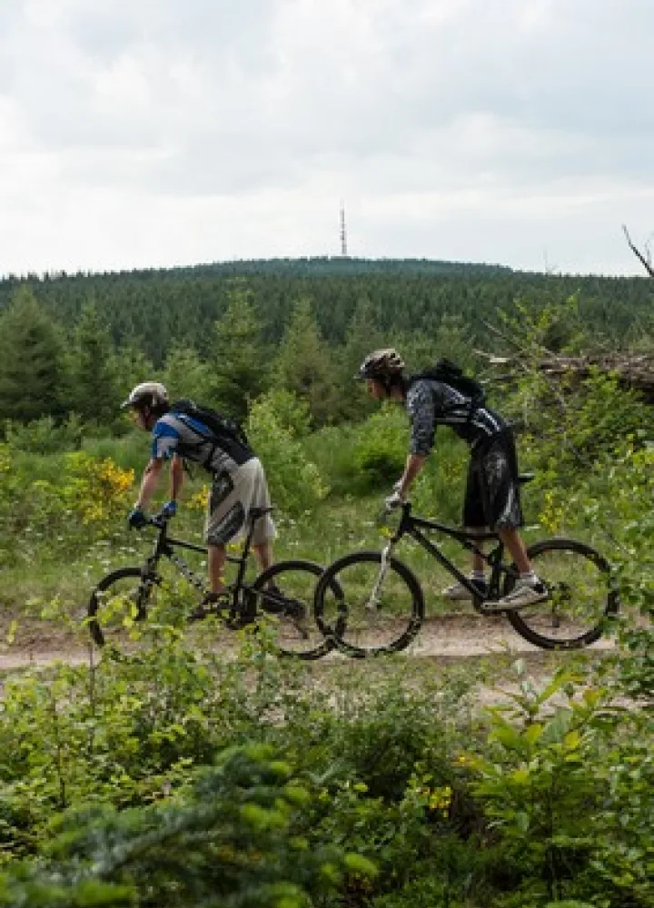 VTT et relais du Haut-Folin