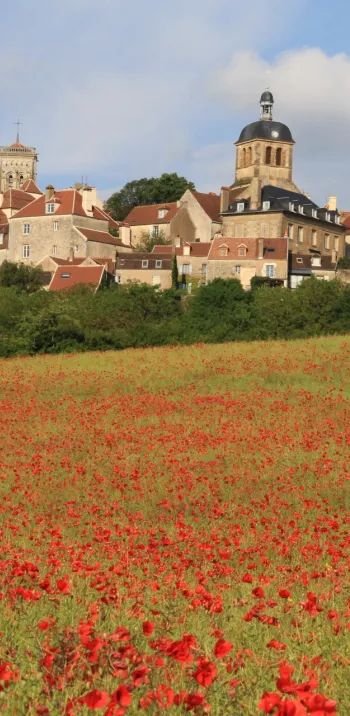 Avallon, village médiévale