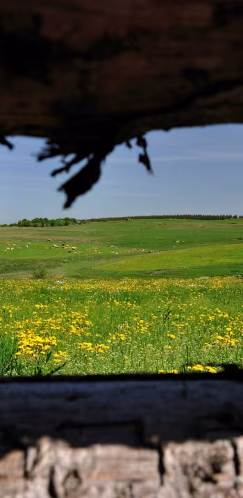 Domaine du Sauvage entre le Puy-en-Velay et l'Aubrac