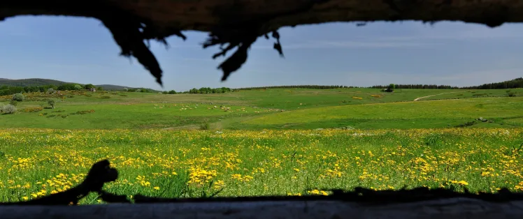 Domaine du Sauvage entre le Puy-en-Velay et l'Aubrac