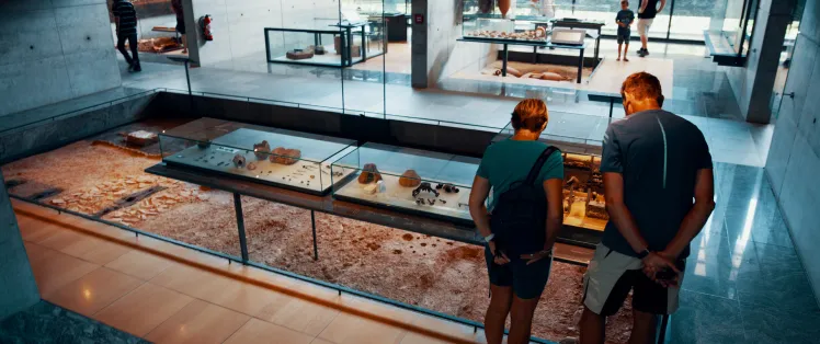 Visite du musée Bibracte au mont Beuvray