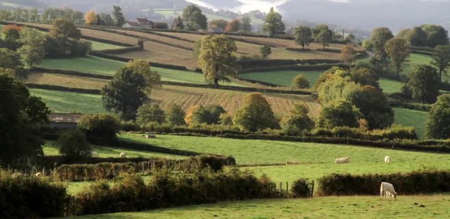 Avallon / Quarré-les-Tombes