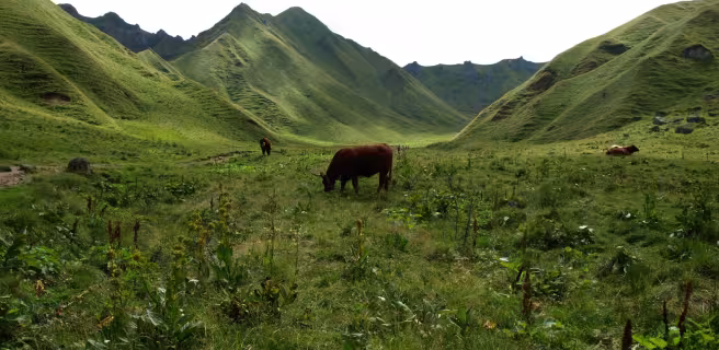 Murol / Saint-Alyre-ès-Montagne