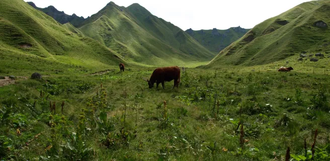 Murol / Saint-Alyre-ès-Montagne
