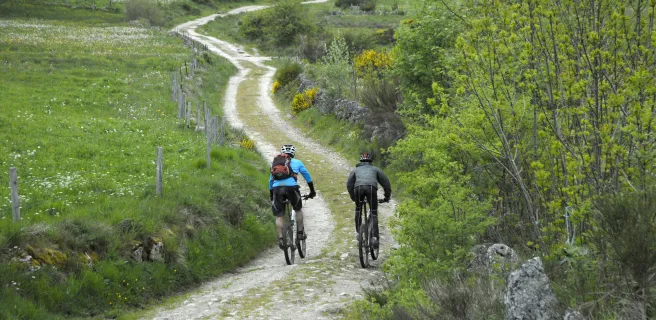 Ruynes-en-Margeride / Chanaleilles