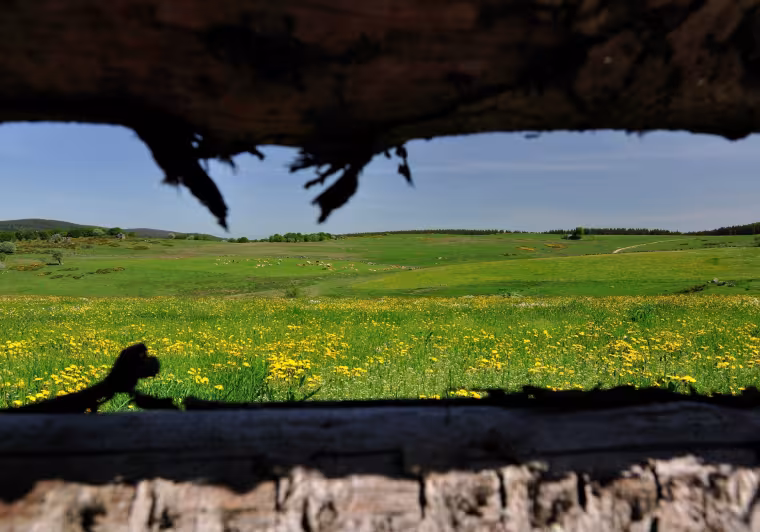 Domaine du Sauvage entre le Puy-en-Velay et l'Aubrac