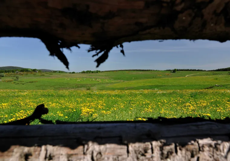 Domaine du Sauvage entre le Puy-en-Velay et l'Aubrac