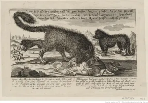 illustration de la bête du gévaudan