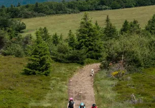 GTMC dans la Margeride