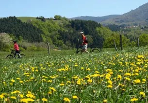 2 vététistes à travers champs 