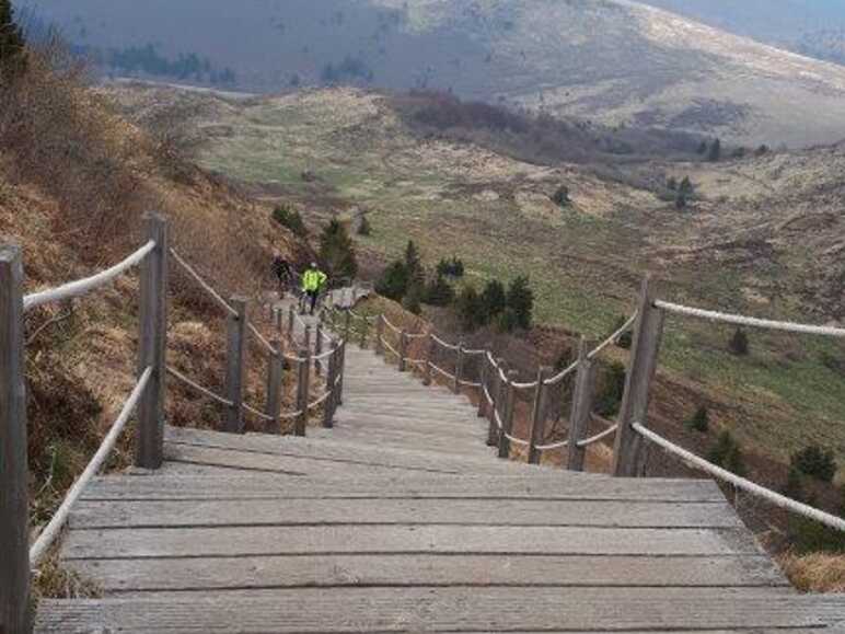 Chemin des chèvres pour le Puy de Dome