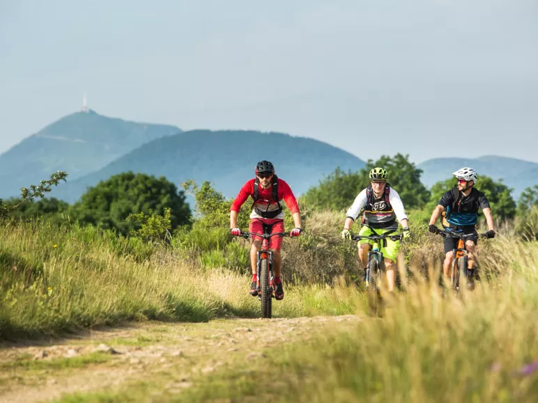 Vététistes dans le parc des VOlcans d'Auvergne
