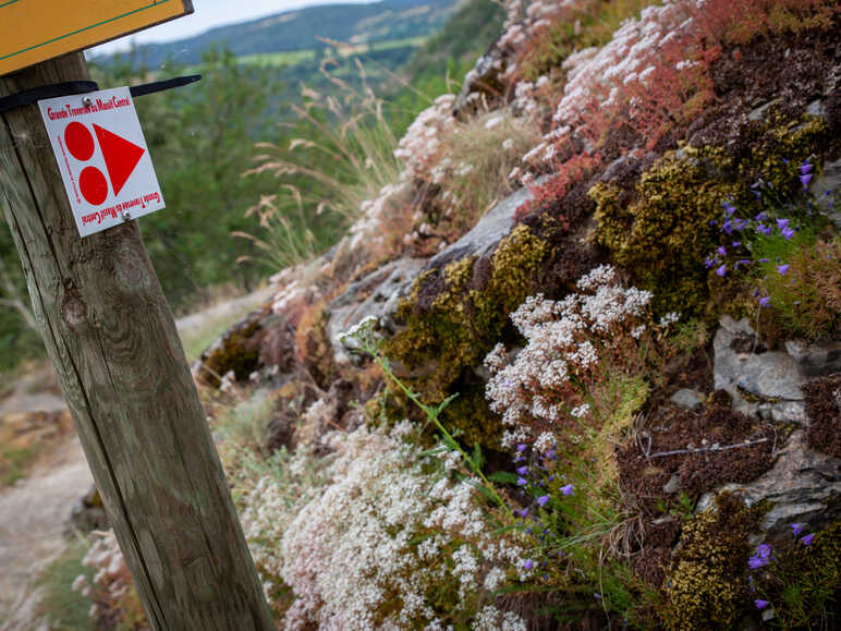 GTMC VTT à Saint-Julien de Tournel