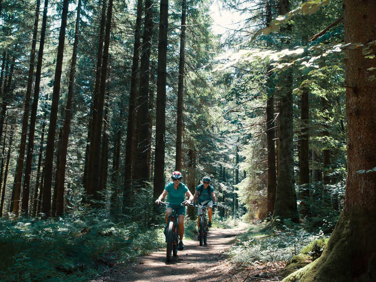 Sur la GTMC VTT dans les forêts du Morvan vers le Haut Folin